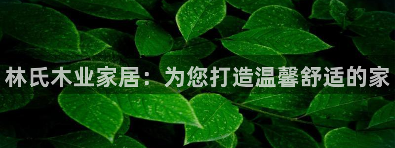 ug环球代理加盟