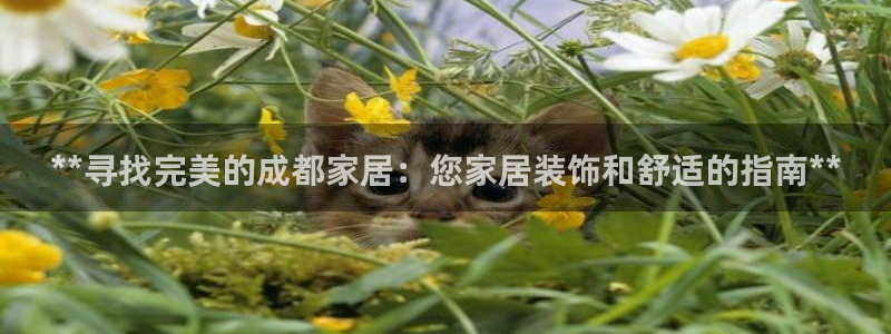 ug环球正网开户