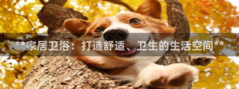 ug环球会员开户