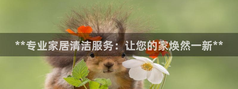 ug环球代理合作
