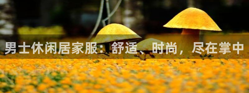 ug环球官网开户