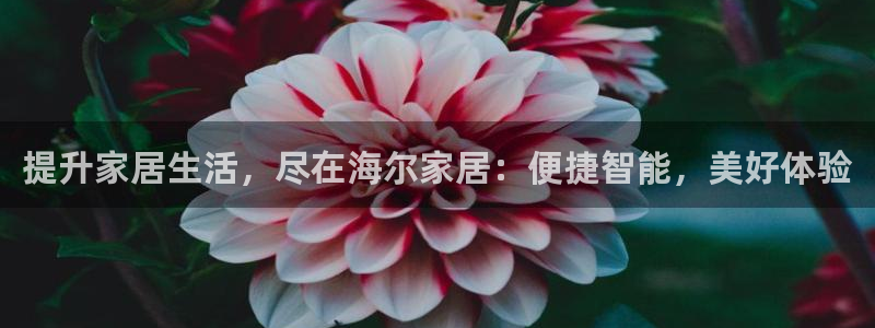 ug环球游戏网站官网