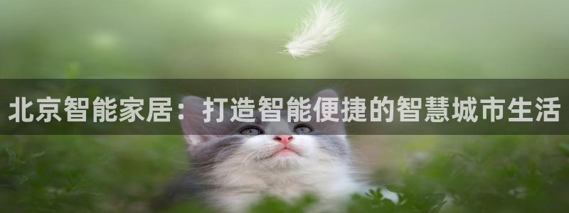 ug环球代理平台官网