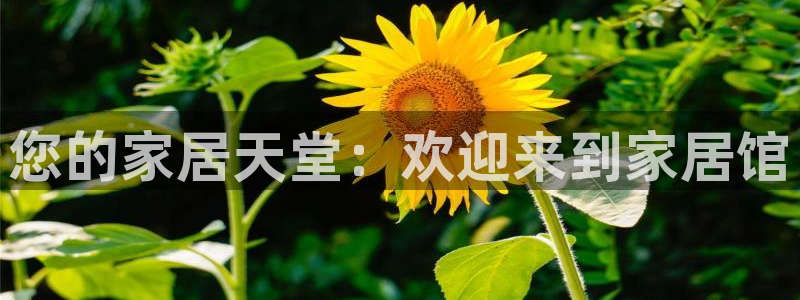 环球ug包杀网一比一