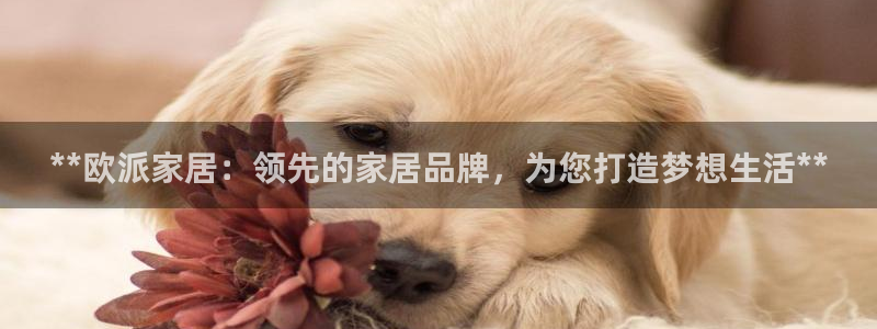 ug环球官网登录