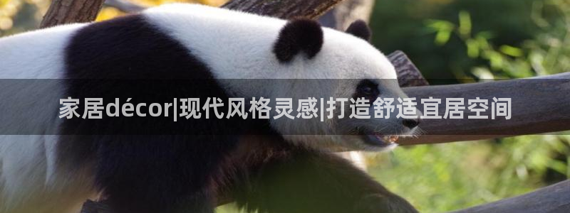 ug环球官网注册会员