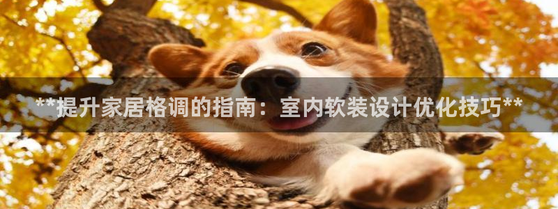 ug环球去唯xkk908