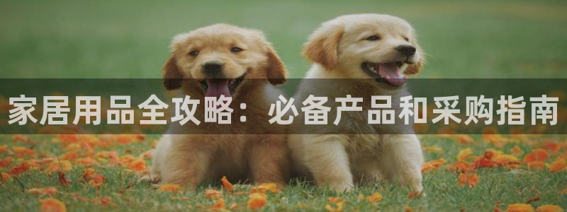ug环球会员