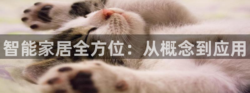 ug环球正网包杀