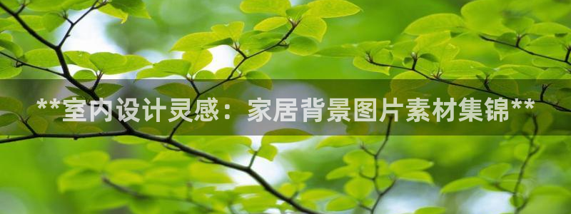 ug环球网