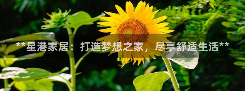 ug环球视讯手机版官网