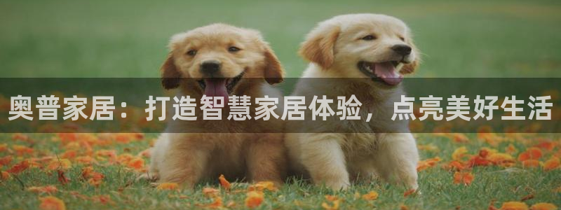 ug环球官网会员