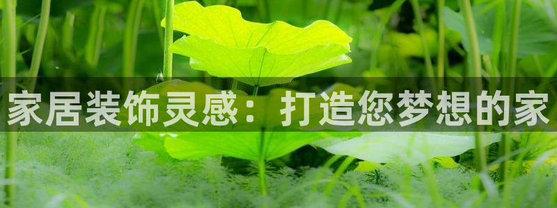 UG环球国际在线