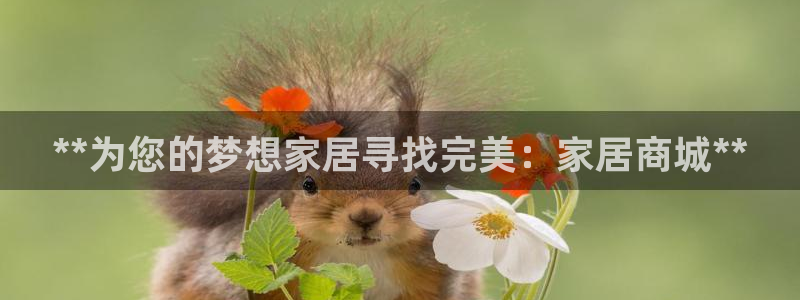 ug环球视讯真假