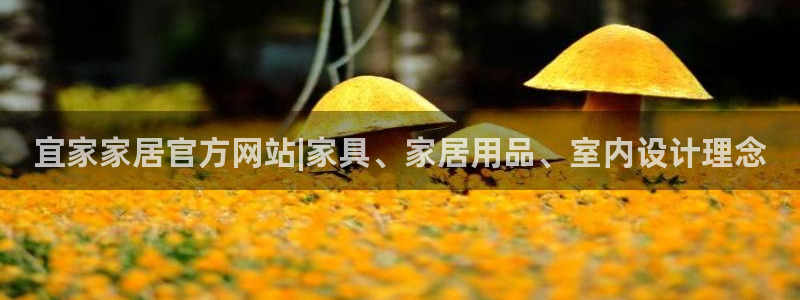 ug环球找唯xkk 908