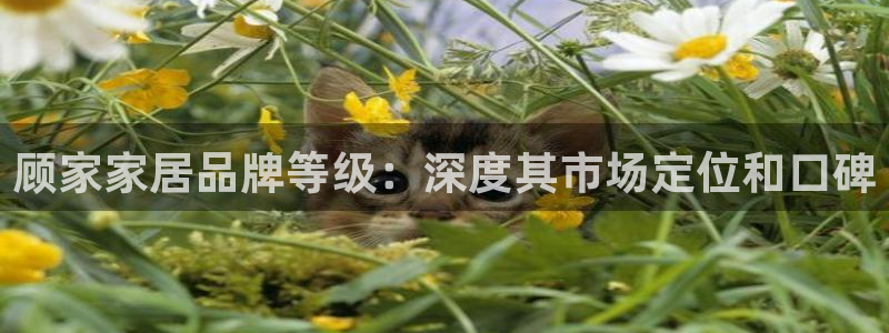 ug环球正网开户