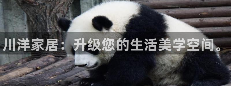 ug环球官网