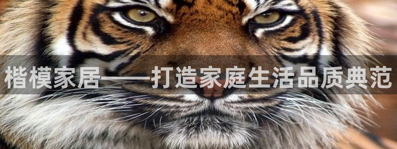 环球ug官网