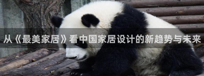 ug环球会员开户