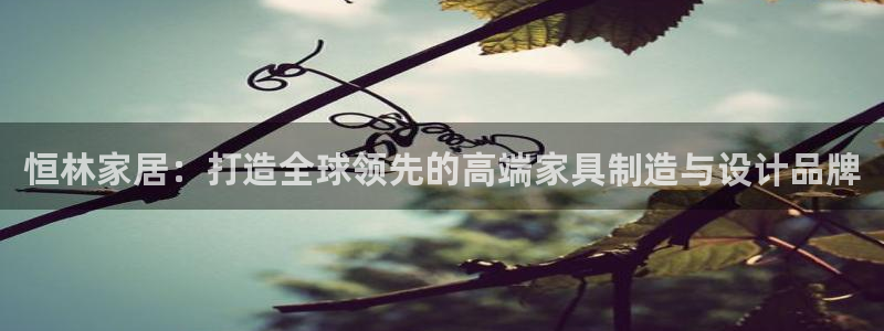 ug环球官网会员