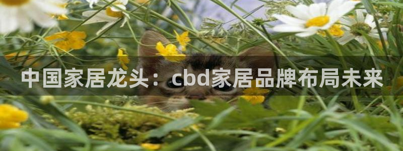 ug环球代理平台