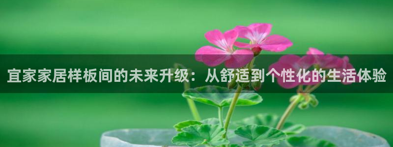 ug环球官网开户