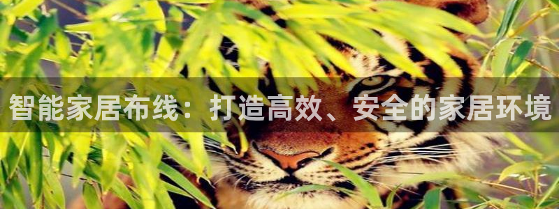 UG环球视讯官网