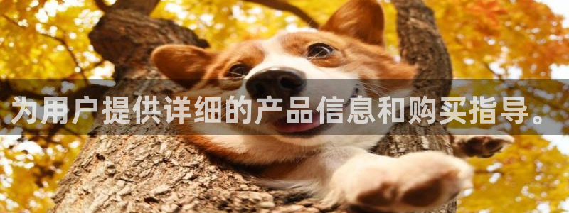 UG环球网一比一：为用户提供详细的产品信