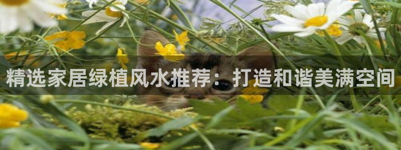 ug环球在线登录