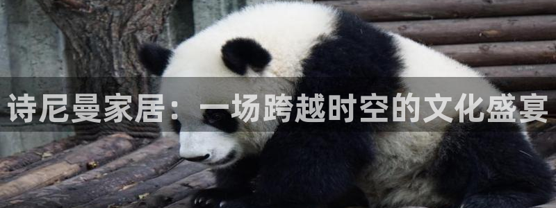 ug环球正网