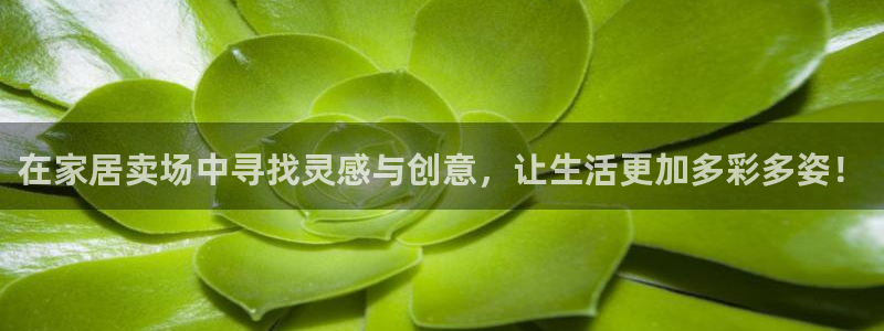 ug环球官网会员登录
