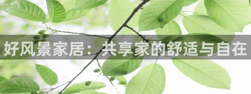 ug环球官网登录