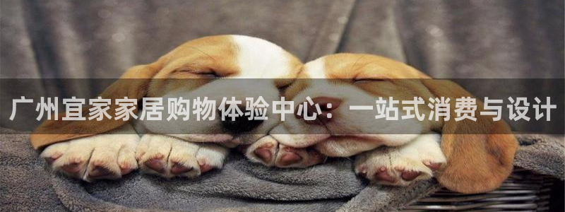 环球ug官网会员注册