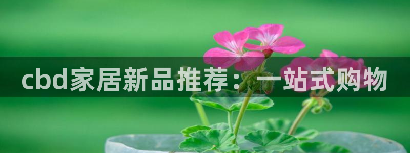 ug环球官网会员注册