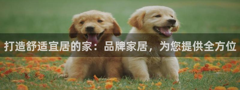 环球ug登录网站 - ug环球会员登录