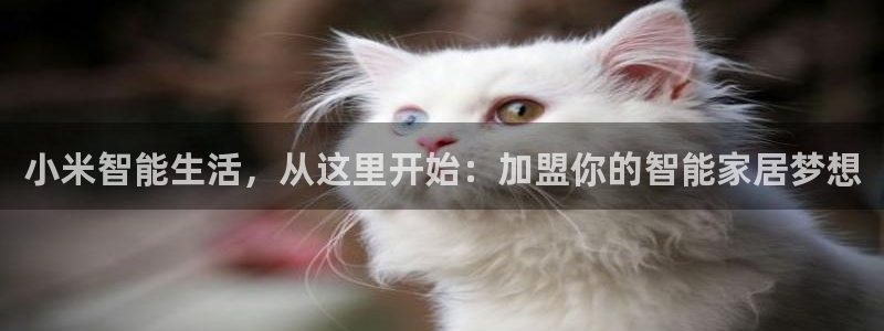 ug环球官网登录入口