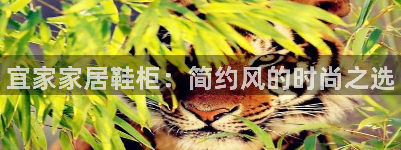 ug环球会员开户