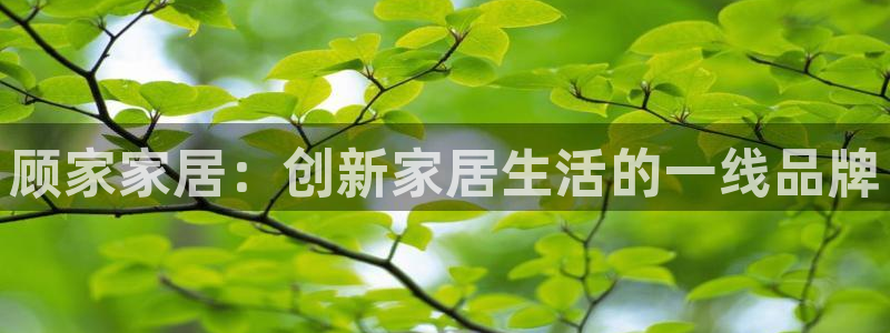 UG环球1比一