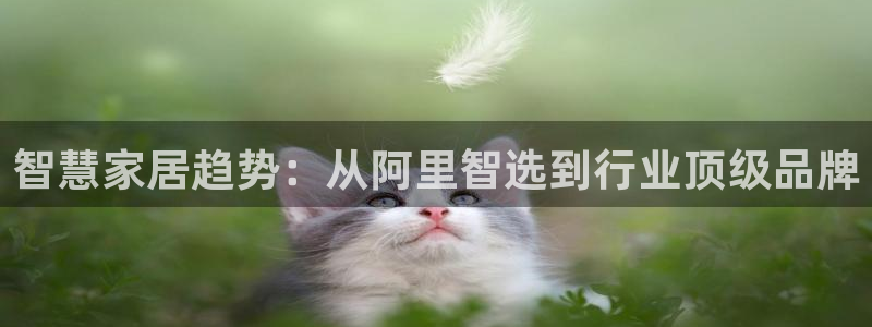 ug环球正网包杀