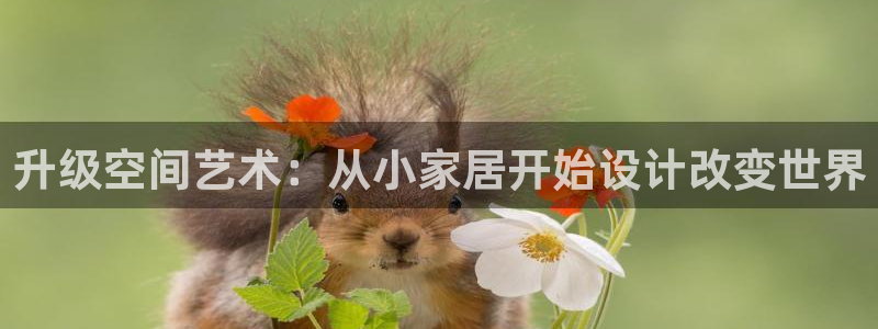 ug环球视讯充值：升级空间艺术：从小家居