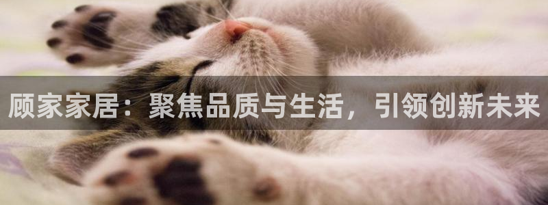 ug环球官网合作