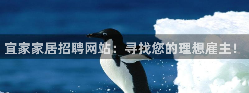 ug环球代理平台
